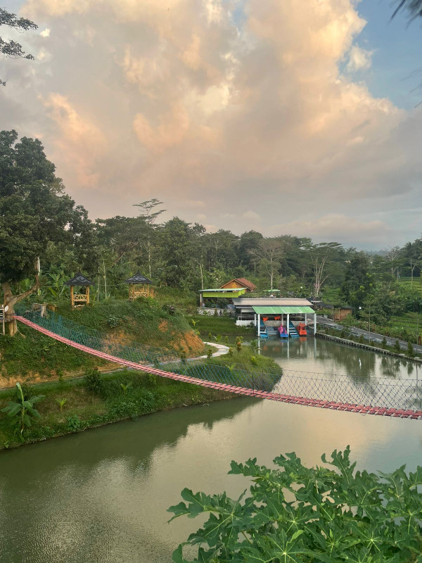 Agro Wisata Pulau Kelapa Dawung Matesih