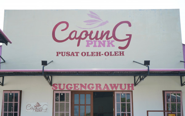 capung-pink