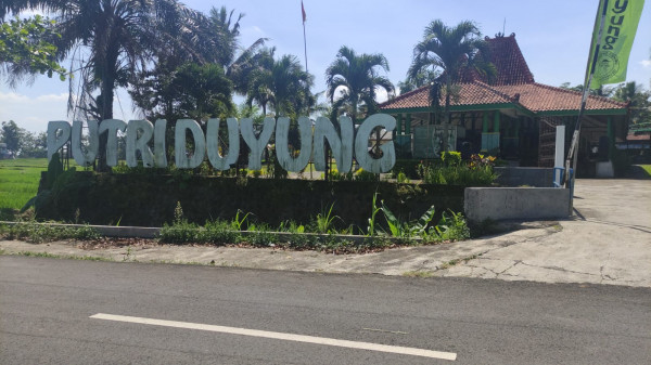 putri duyung