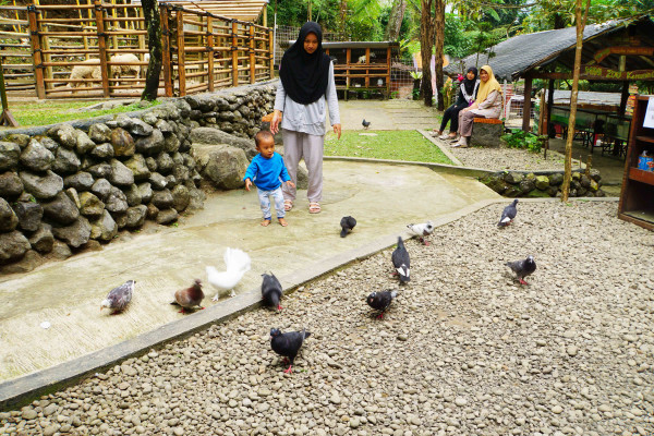 KEMUNING MINI ZOO