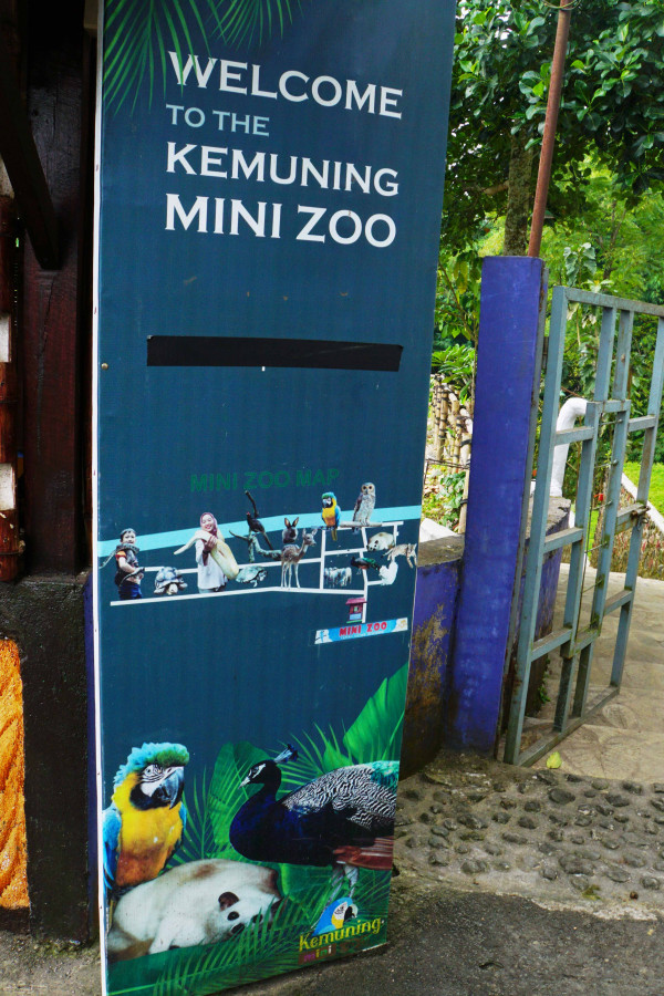 KEMUNING MINI ZOO