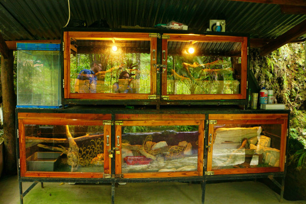 KEMUNING MINI ZOO