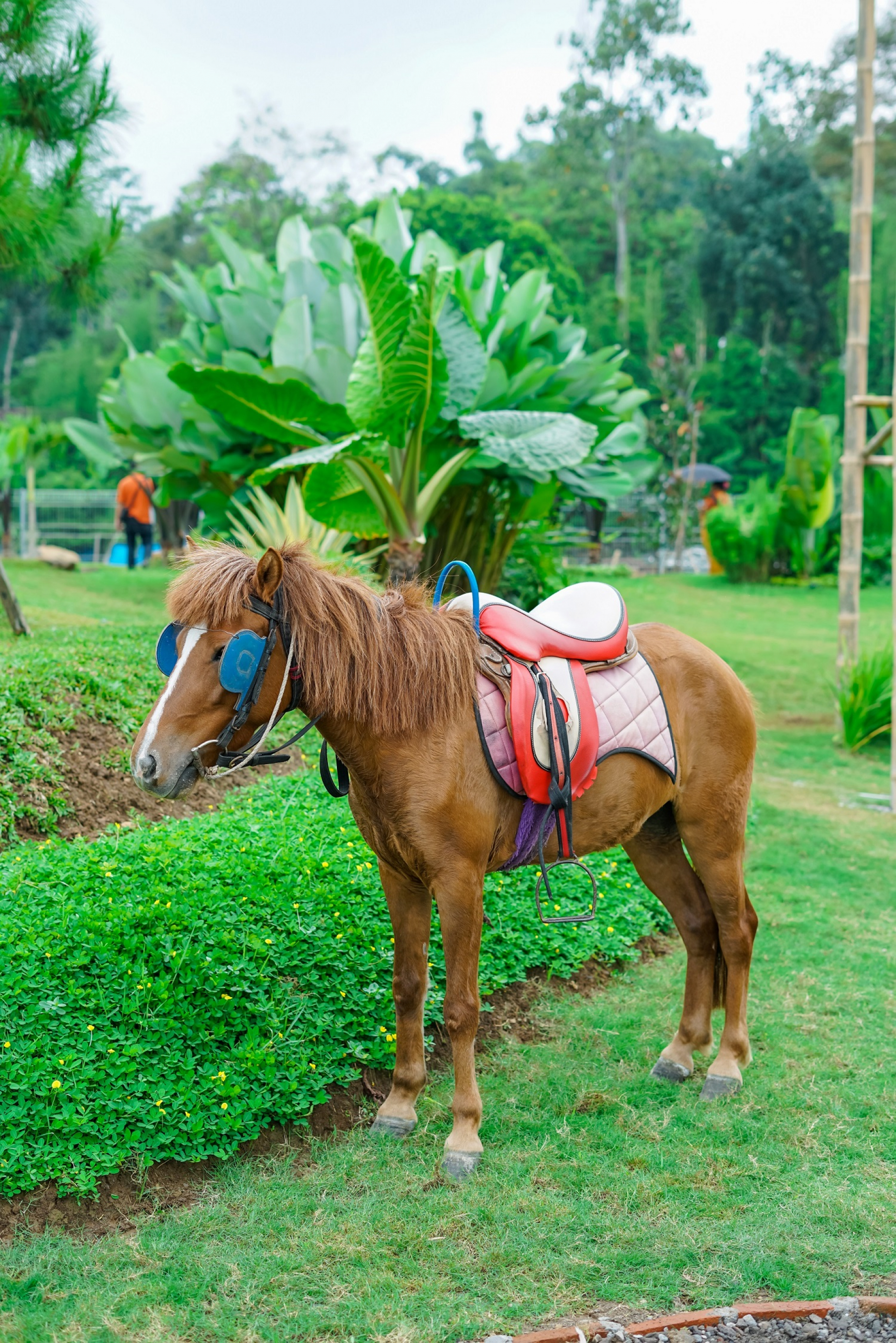 Edupark Patung Semar