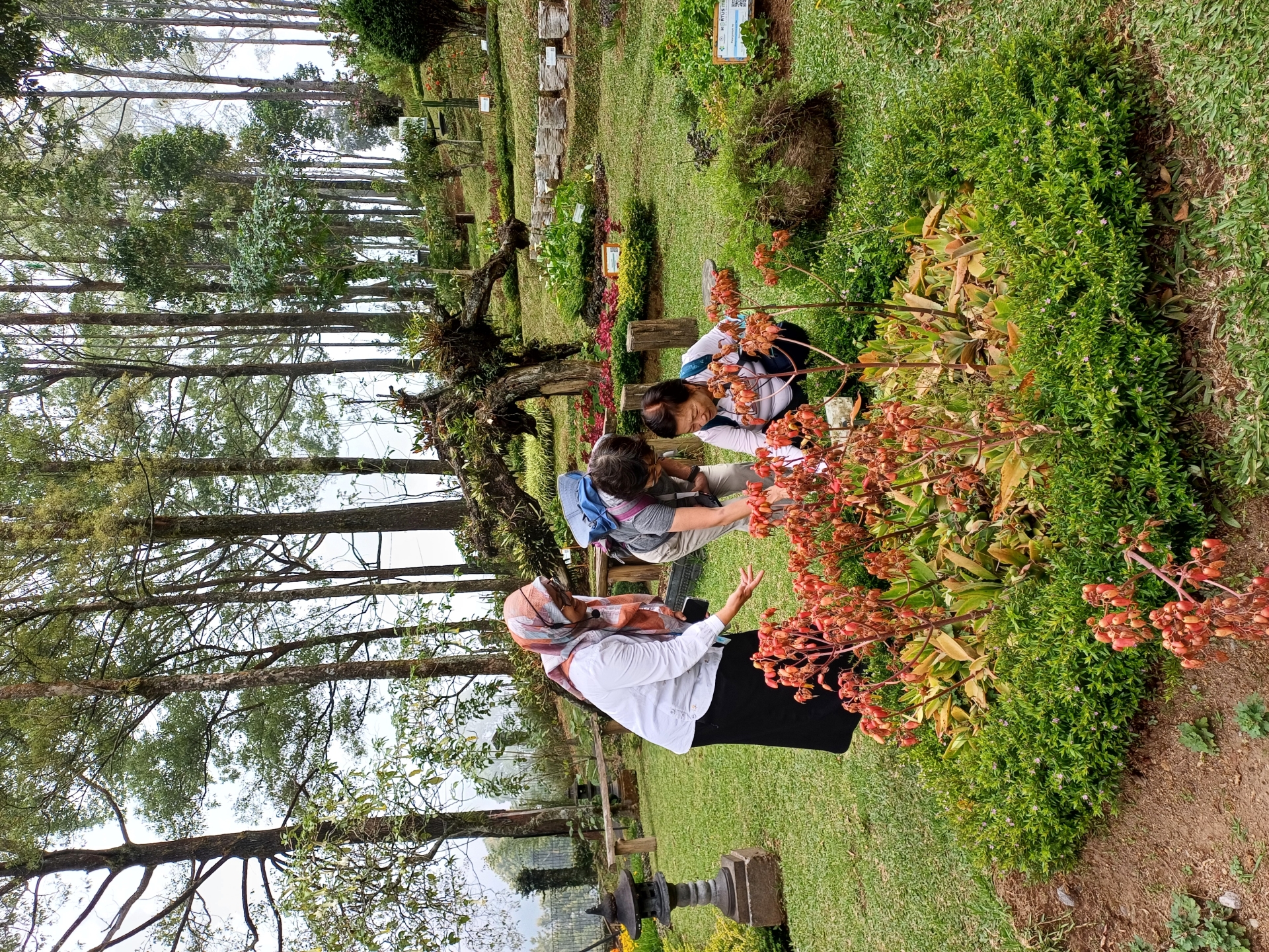 Kebun Aromatik Tlogodringo
